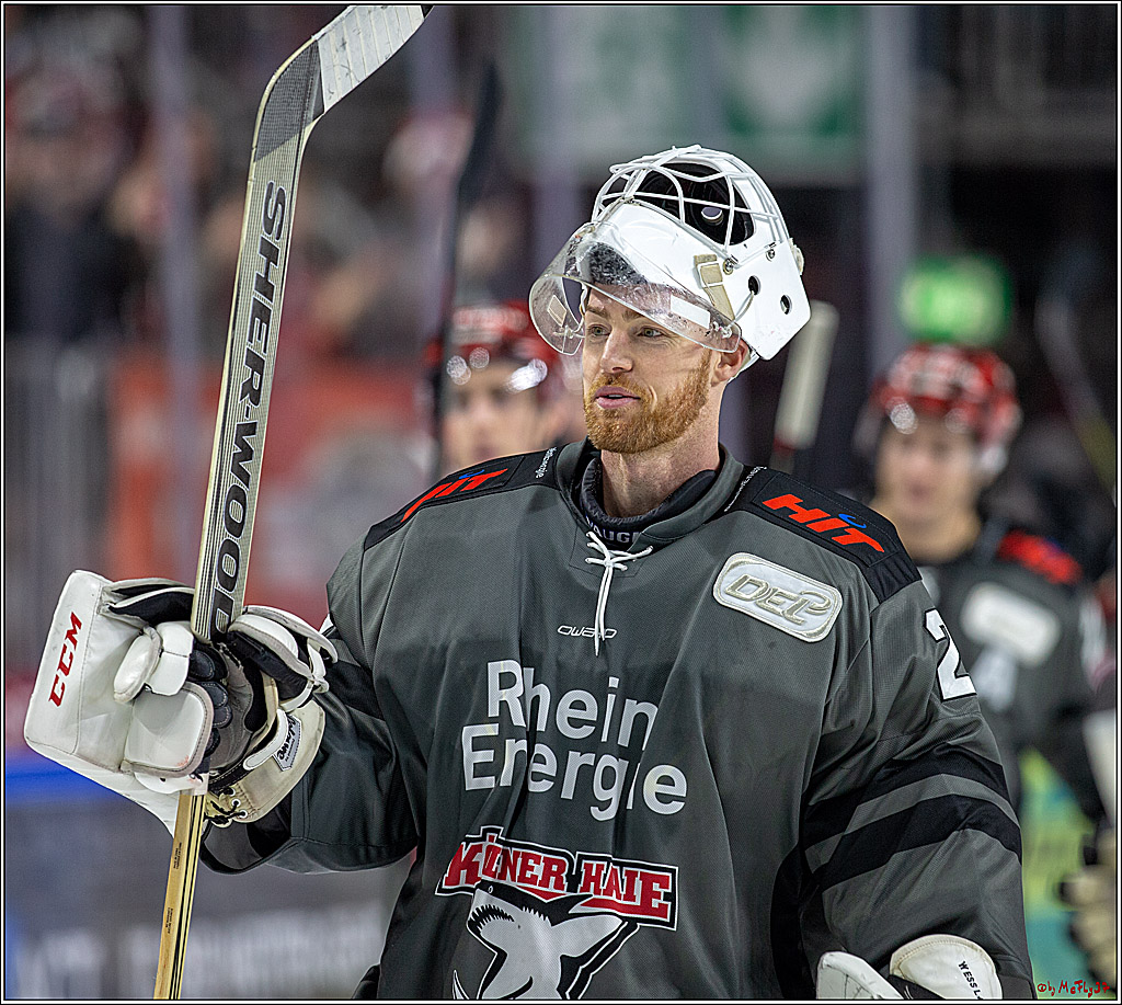 DEL; Koelner Haie - Straubing Tigers, 02.12.2018